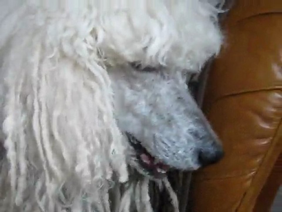 seven et son caramel