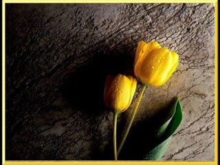 Demedin mi demedin mi