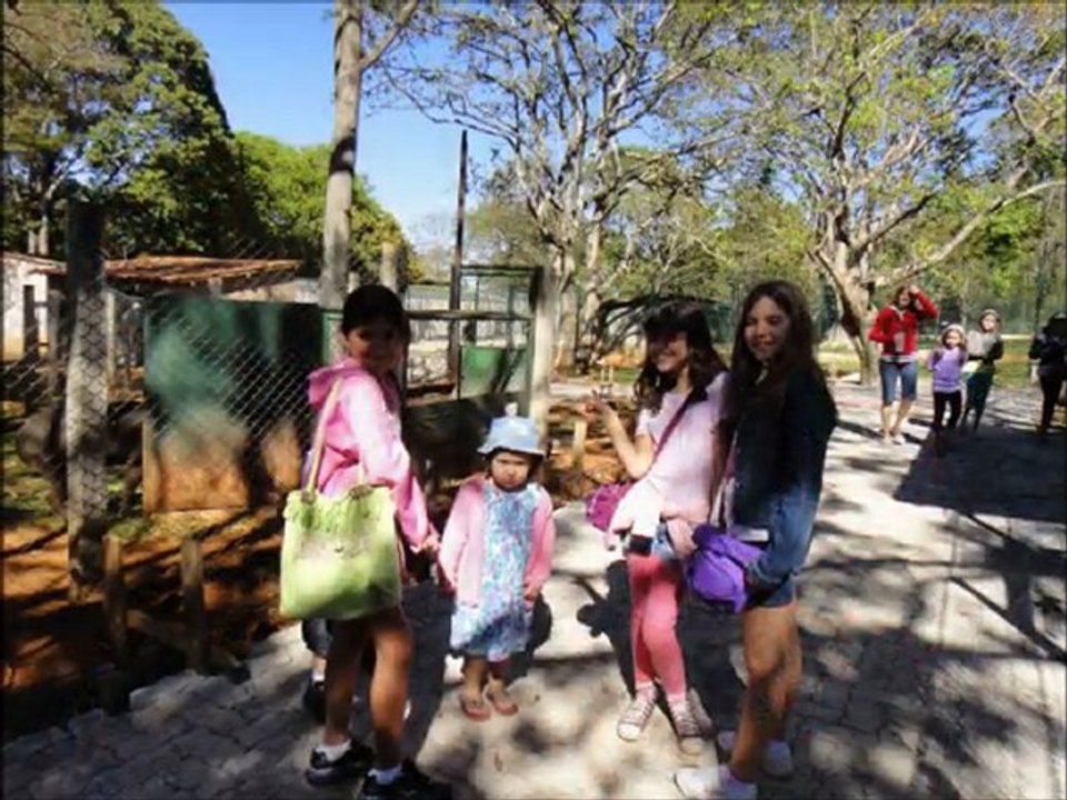 Parto de tamandua no Zoo (DF) - Julho de 2011