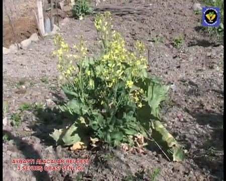 Alacalar Belediyesi 2011 Tanitim CD 1