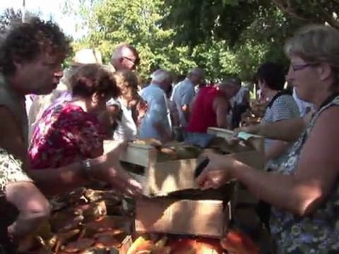 Chaotic weather produces bumper crop of cepes in France