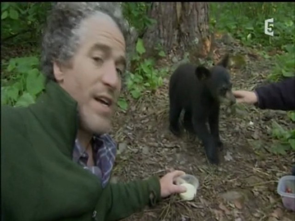 la famille ours et moi l'été (2 et fin)