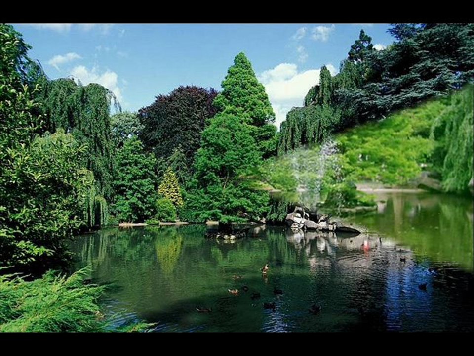 Valenciennes