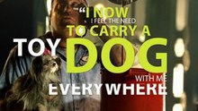 My dog wants to be a mechanic - from straighttalk