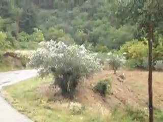 COURSE DE COTE DE PROPIAC 2011