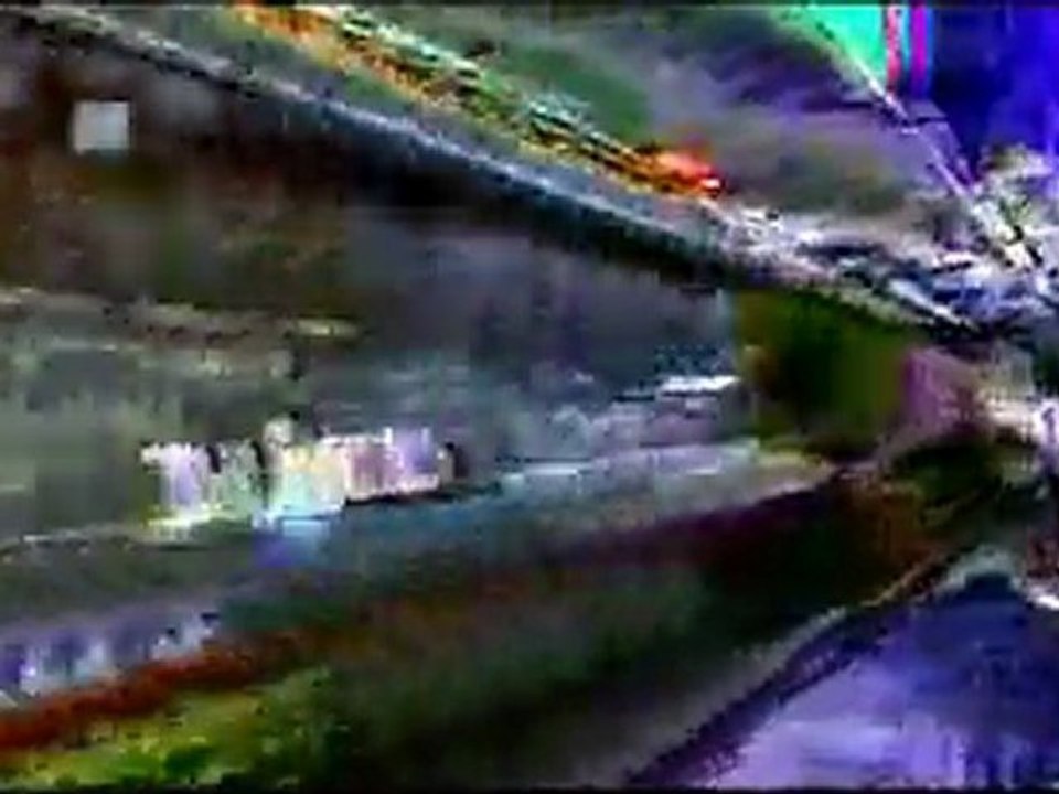 Le bug