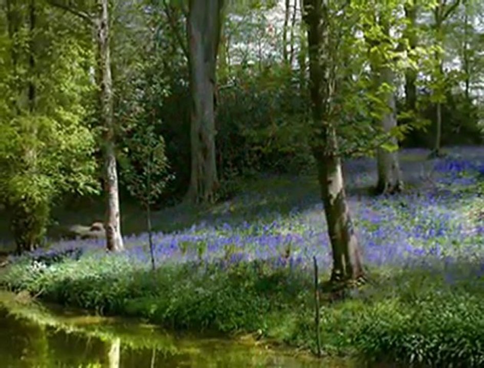 KIRMIZI GÜL DEMET DEMET & YAVUZ BİNGÖL