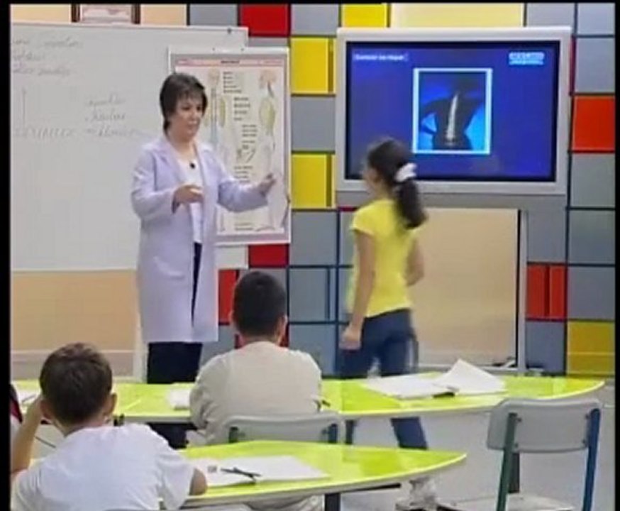 İlköğretim 4. Sınıf Fen ve Teknoloji | www.egitimstore.com