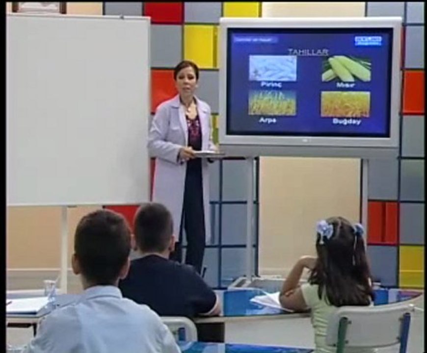 İlköğretim 5. Sınıf Fen ve Teknoloji