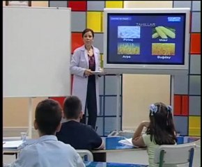 İlköğretim 5. Sınıf Fen ve Teknoloji