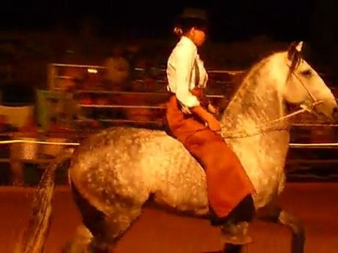 Danse avec les chevaux...Portugais.