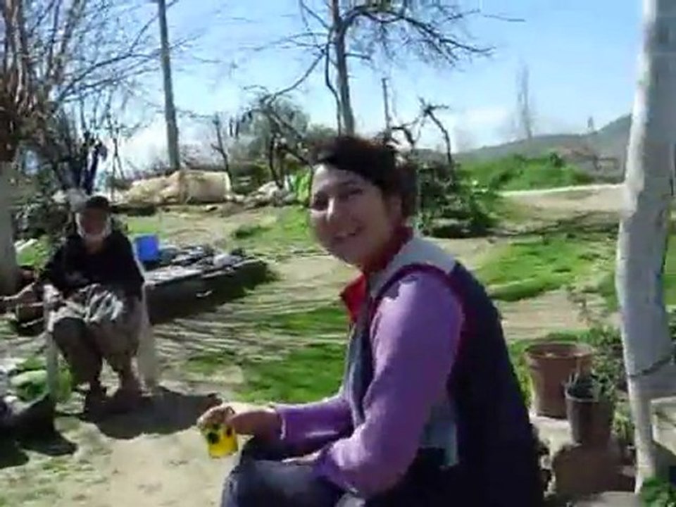 kerim_0