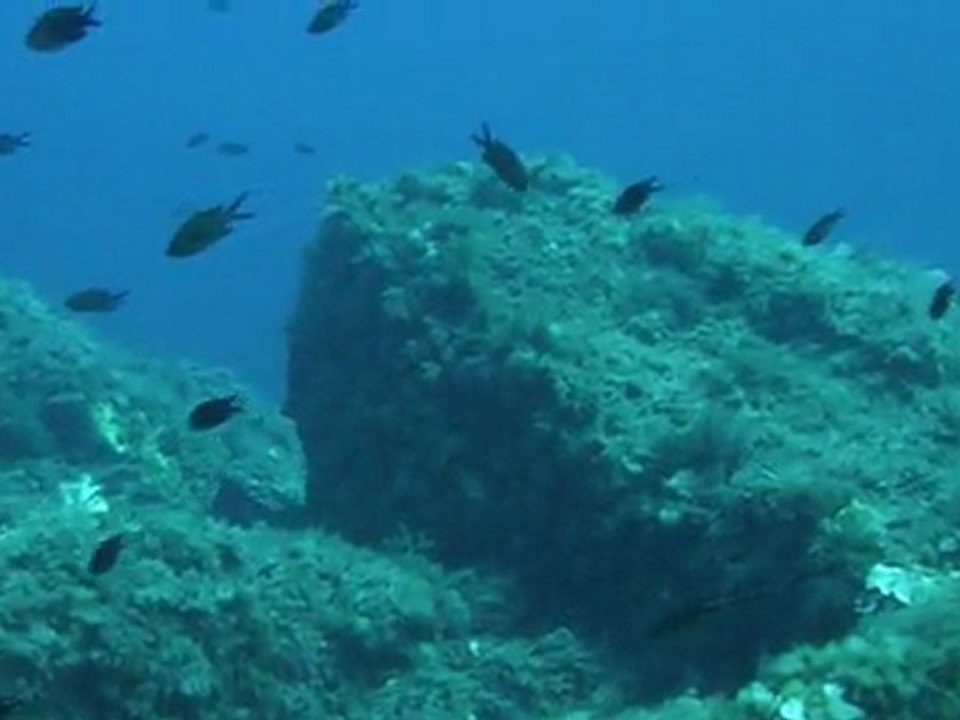 P1050745