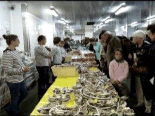 Jean-Pierre Fleury, conteur insolite des animaux