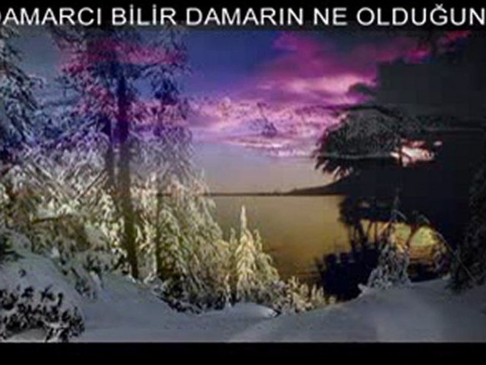 DAMARCI www.Seslilaila.Com  damarcı