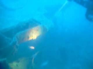 plongée épave Junker 88