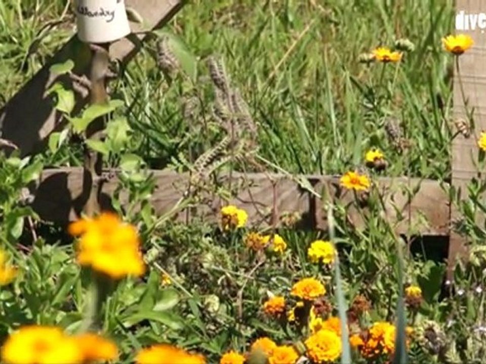 Le Goût du Monde, Saline royale d'Arc-et-Senans, jusqu'au 30 septembre 2011
