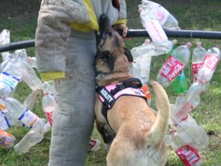 Flicka des elus du deffend