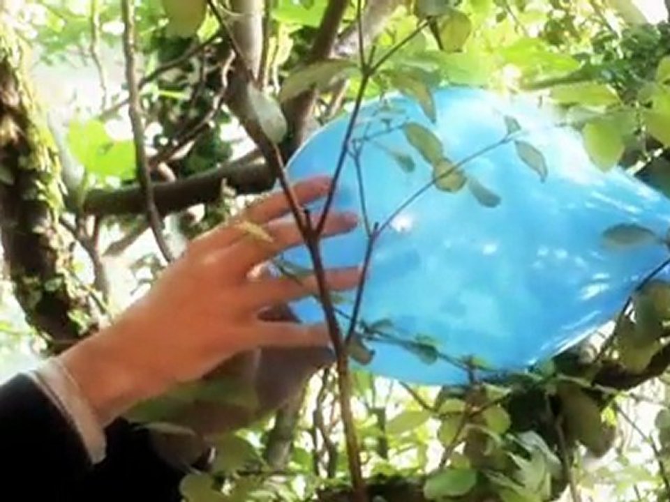 Immobilienmakler_delmenhorst_immobilien