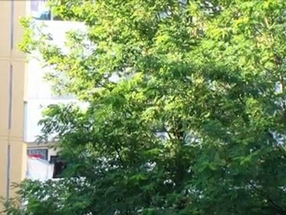 Samsung HMX H300/320 Qualité Test En HD