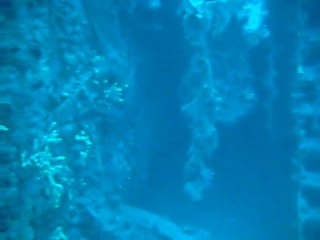 plongée épave Le Miquelon