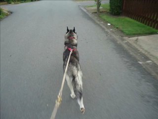 ma louloute deuxieme partie de la mer