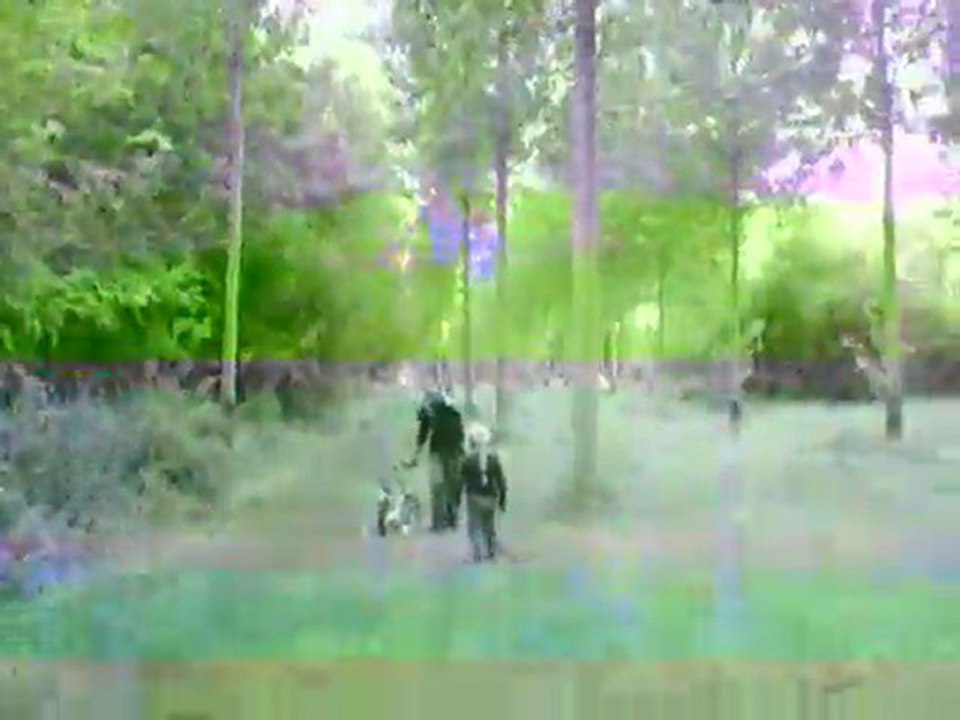 IMGP5698
