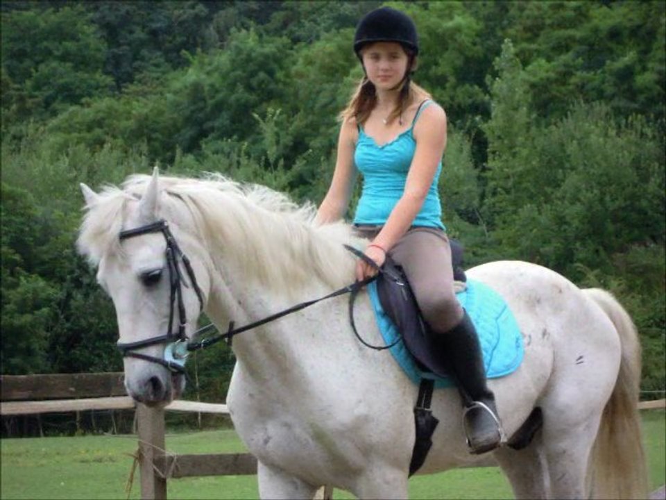 l'écurie de laroche 2