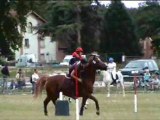 pony mounted games , championnat de france 2011 lamotte Beuvron open 1 brigade des stup's