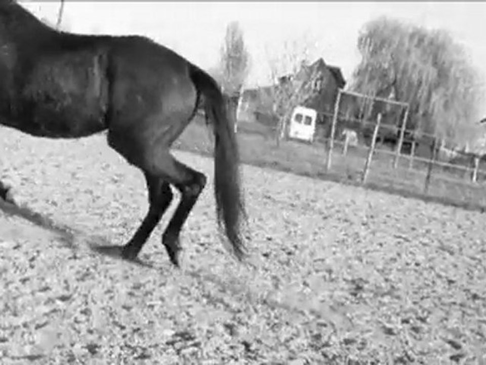Histoire d'une année..♥
