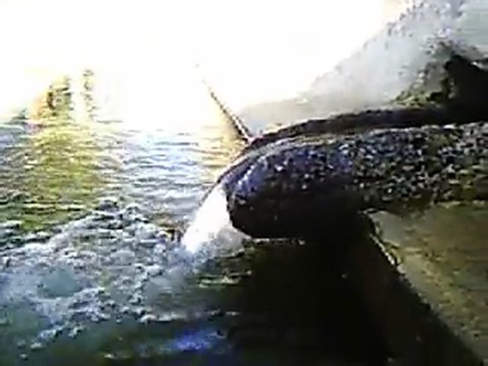 Muratkolu Köyü Videoları