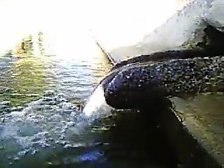 Muratkolu Köyü Videoları