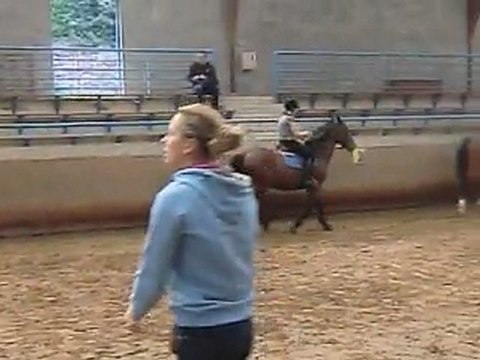 mon 2 eme jour de stage d'équitation !!!