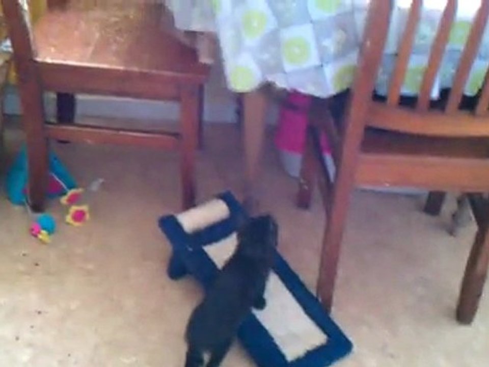 VIDEO0001