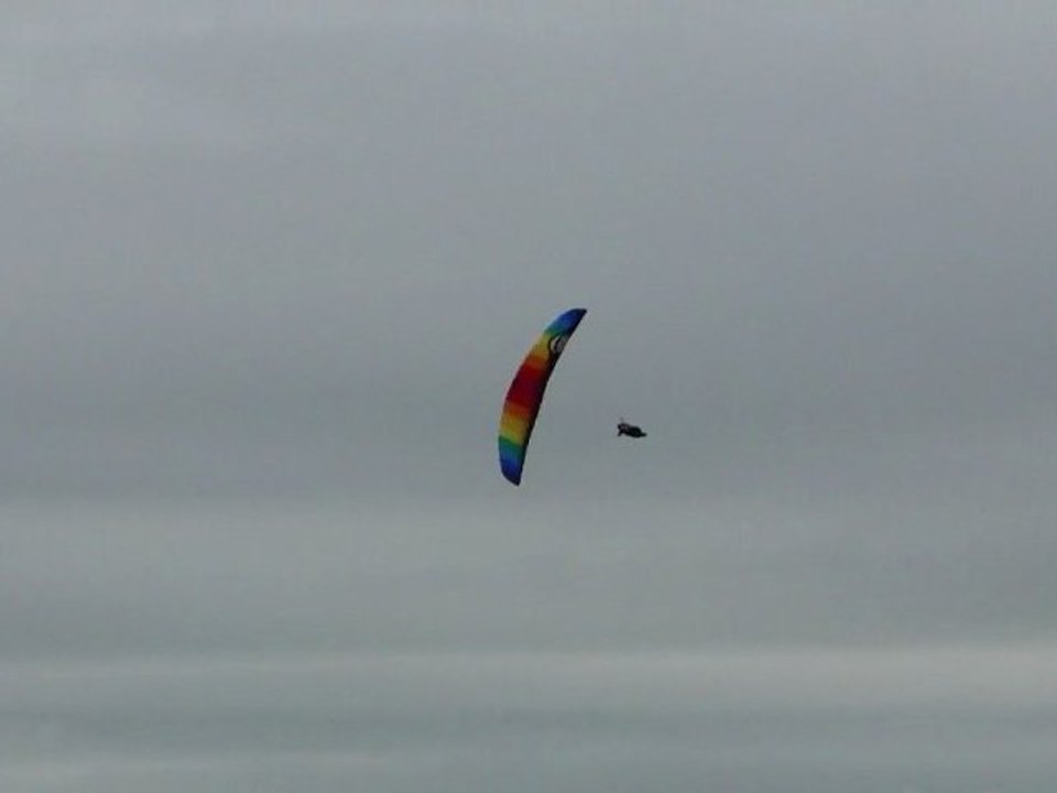 petit misty freestyle 2