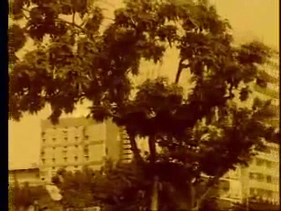 No Outro Lado do Tempo - I