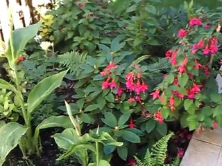 Notre arrivée à La Chapelle En Serval