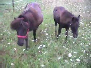 BLUE NIGHT 04 07 2011. 10) SDC11360