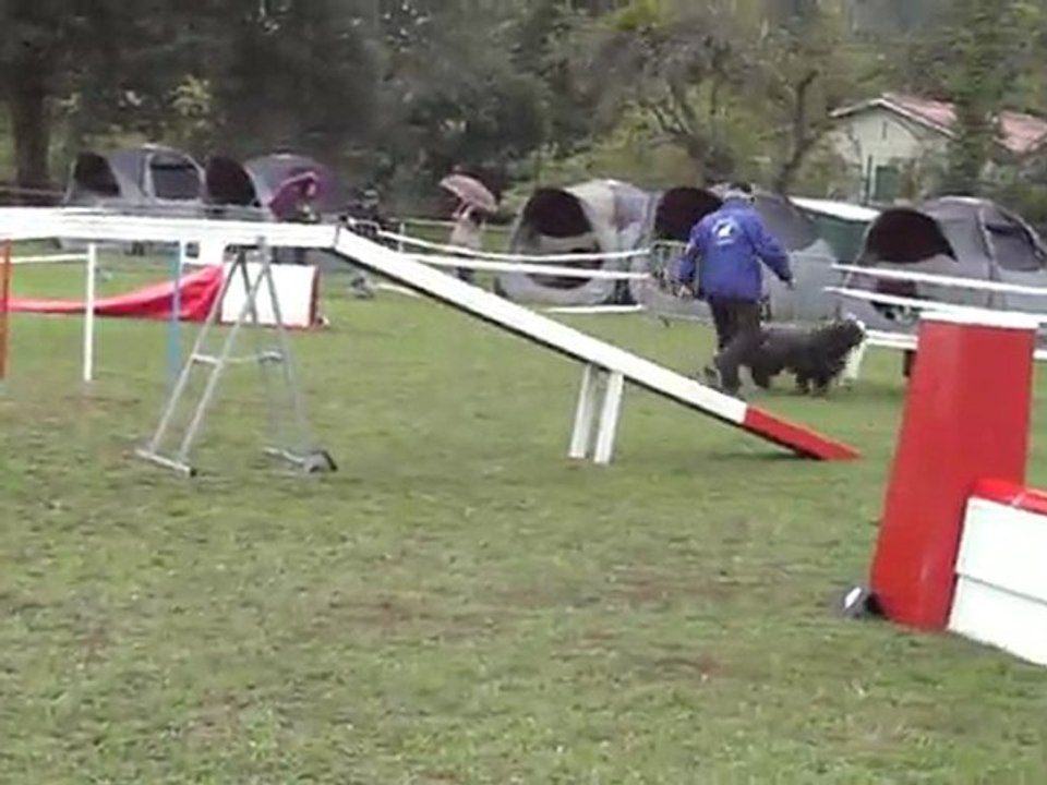 solidarité agility 1