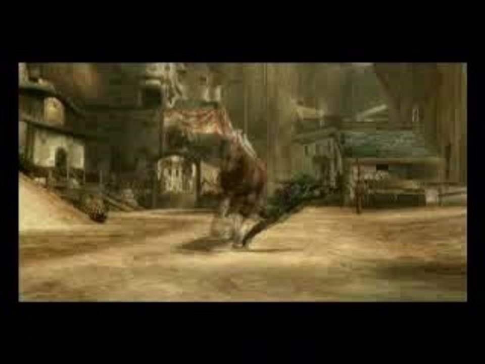 vidéo zelda sur console wii !