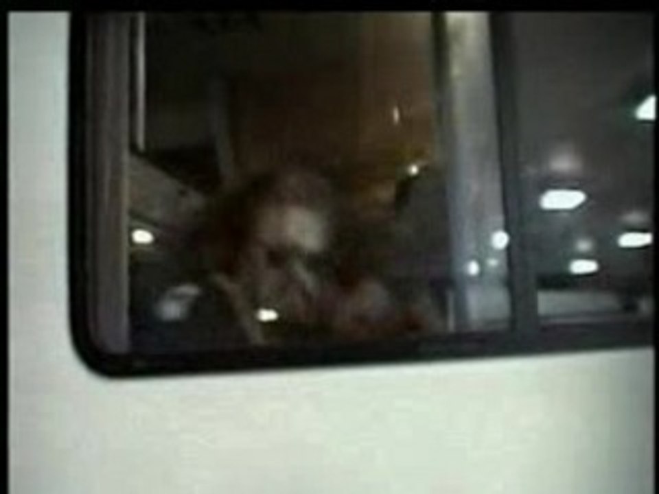 Meshuggah-new millennium cyanide christ