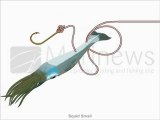 Rigging small squid - Step By Step Squid Rigging Guide