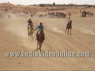 Camel race03, Camel festival