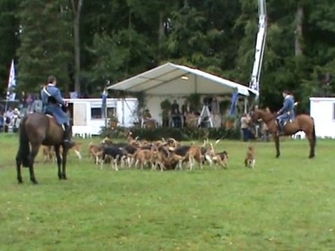 CARROUGES 2011 La Saut Du Cerf