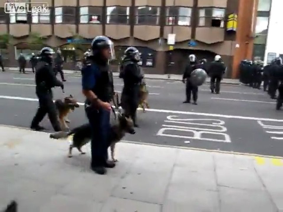 Hackney Riots Police And Dogs Laden Randalierer während des Tages.