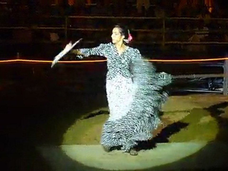 Flamenco en ALGARVE...