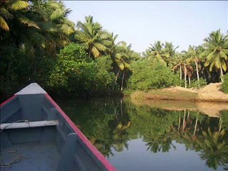Kerala Tour Packages