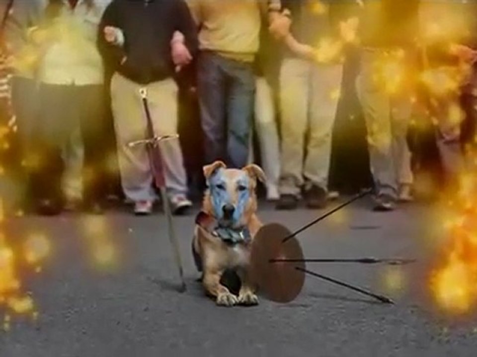 RIOT DOG LOUKANIKOS