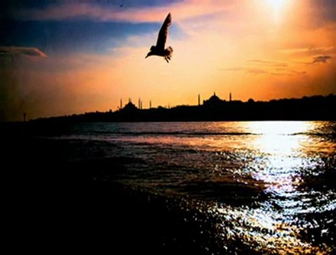 AZİZ İSTANBUL & MÜNİR NURETTİN SELÇUK