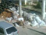 Eco Ponto Sao Lucas, sabado, 16 07 2011 as 11.10 hrs. Os perueiros ofendem moradores com palavroes e dizem ser funcionarios do Kassab, descartam todo tipo de lixo menosprezando as questoes ambientais.
